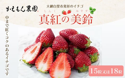 先行予約【2025年12月中旬より順次発送】大網白里市発祥のイチゴ「真紅の美鈴」15粒又は18粒 いちご イチゴ 苺 希少 甘い 深紅 真紅の美鈴 黒いちご 黒イチゴ ギフト 千葉県 大網白里市 送料無料 M005