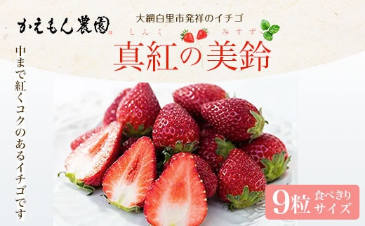 先行予約【2025年12月中旬より順次発送】大網白里市発祥のイチゴ「真紅の美鈴」９粒 食べきりサイズ いちご イチゴ 苺 希少 甘い 深紅 真紅の美鈴 ギフト 黒いちご 黒イチゴ 千葉県 大網白里市 送料無料 M006