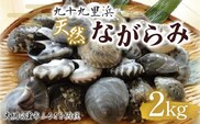 九十九里浜　天然ながらみ　2kg【名産】 ふるさと納税 ながらみ 幻の貝 九十九里産 貝 国産 千葉県 大網白里市 送料無料 P006