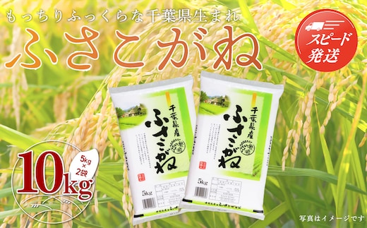 【最短2～7営業日出荷】令和7年産千葉県産「ふさこがね」10kg（5kg×2袋） お米 10kg 千葉県産 大網白里市 ふさこがね 米 精米 こめ 送料無料 A004