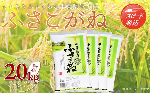【最短2～7営業日出荷】令和7年産 千葉県産「ふさこがね」20kg（5kg×4袋） A005