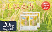 【最短2～7営業日出荷】令和7年産 千葉県産「コシヒカリ」20kg（5kg×4袋） A024