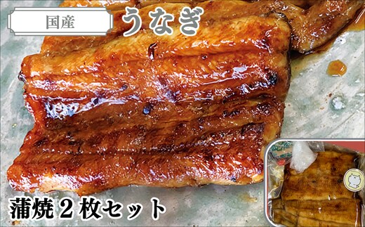 国産うなぎ（蒲焼）2枚セット AT002