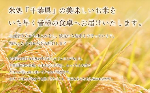 【新米先行受付 令和8年産】千葉県産 ふさこがね10kg (精米5kg×2袋) E028-s