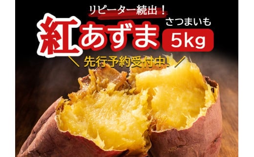紅あずま さつまいも 5kg 千葉県神崎町 杉山農園｜先行予約・2026年1月以降発送【リピーター続出】さつまいも いも 芋 紅あずま 焼き芋 チップス 干し芋】[019-a001]