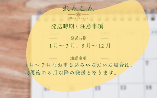 千葉県れんこん部門注文数最上位達成！無選別 神崎町ふるさと れんこん（1.5kg）（※4～7月受付分は8月以降順次発送）