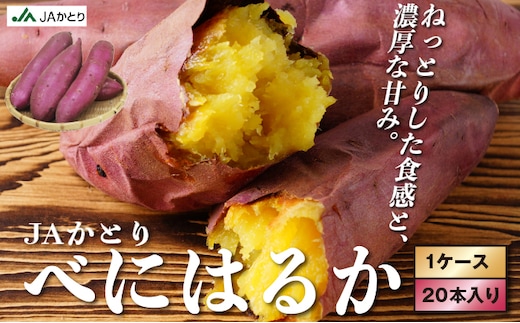 千葉県神崎町 JAかとり産 さつまいも 紅はるか Mサイズ20本入り 甘み濃厚 しっとり食感 焼き芋・干し芋に《先行予約・2025年12月～発送》べにはるか ベニハルカ [001-a001]