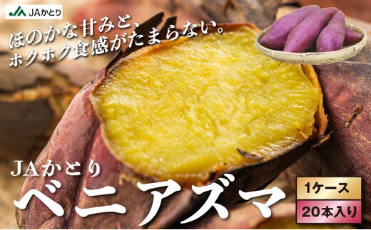 千葉県神崎町 JAかとり産 さつまいも 紅あずま Mサイズ20本入り ほくほく香ばしい 定番の味 焼き芋・干し芋に べにあずま ベニアズマ [001-a003]
