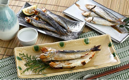 いわし 三昧 海鮮 魚介 魚介類 魚 干物脂 イワシ さぬき塩 冷風乾燥 背黒めざし めざし 真いわし 丸干し 