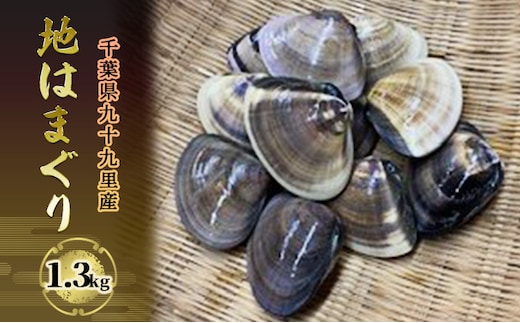 はまぐり 千葉 九十九里産 地はまぐり 1.3kg カネヨン水産 貝 海鮮 海産物 海の幸 魚介 魚介類 水産 水産物 はまぐり鍋 バーベキュー BBQ お吸い物 国産 ハマグリ 蛤 産地直送 冷蔵 冷蔵配送 千葉県 九十九里 九十九里町