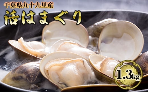 はまぐり 千葉 九十九里産 活はまぐり 1.3kg 貝 海鮮 海産物 海の幸 魚介 魚介類 水産 水産物 はまぐり鍋 バーベキュー BBQ お吸い物 国産 ハマグリ 蛤 産地直送 冷蔵 冷蔵配送 千葉県 九十九里 九十九里町