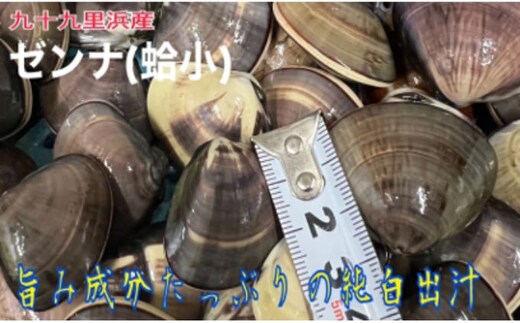 うま味が濃い純白出汁の天然”ゼンナ”冷凍（蛤小）2kg入り 魚貝類 旨み 濃厚な出汁 天然はまぐり 身が厚い 甘み 貝 海の幸 海鮮 国産 九十九里浜産 