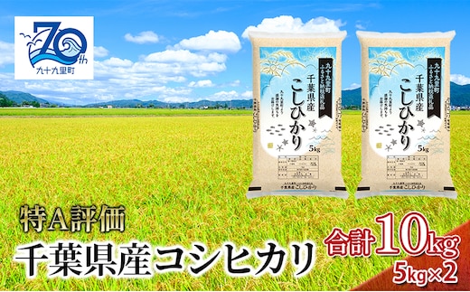 米 千葉県産コシヒカリ5kg×2 こしひかり セット お米 特A評価 精米 ふっくら もっちり 粘り気 旨み 香り ツヤ やわらかい 歯ごたえ 九十九里町 千葉県