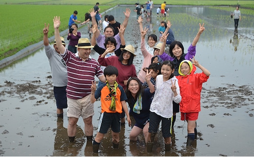 田植え体験・単回型コース 田植え 田んぼ 体験 チケット 体験チケット 新米 農業 九十九里町 千葉県