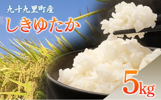 九十九里町産 しきゆたか 5キロ お米 白米 精米 ご飯 こめ コメ おこめ ごはん 千葉 九十九里町