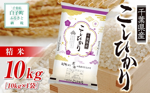 令和８年産 千葉県産コシヒカリ＜精米＞10kg(10kg×1袋)ふるさと納税 お米 10kg 千葉県産 白子町 コシヒカリ 米 精米 こめ 年越し おせち お餅 送料無料 SHB002
