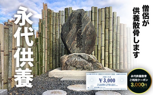 SK01001 永代供養散骨ご利用クーポン3,000円 ふるさと納税 供養 お墓 永代 献花 お祈り 散骨 先祖 命日 お盆 お彼岸カンシャ 千葉県 大多喜町 送料無料