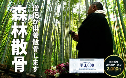 SK01002 森林散骨ご利用クーポン 3,000円 ふるさと納税 供養 お墓 森林 散骨 献花 お祈り 先祖 命日 お盆 お彼岸カンシャ 千葉県 大多喜町 送料無料