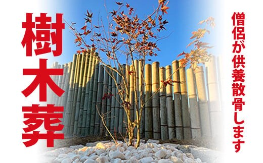 SK55003 樹木葬散骨 ふるさと納税 供養 お墓 樹木葬 散骨 献花 お祈り 先祖 命日 お盆 お彼岸カンシャ 千葉県 大多喜町 送料無料