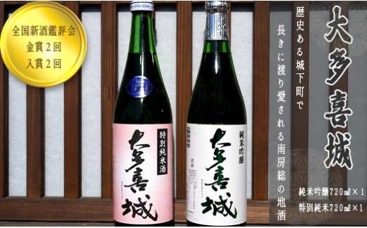 TY01019 城まつり