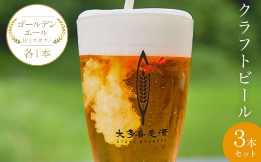 W00801 クラフトビール３本セット ゴールデンエールIPAスタウト各１本