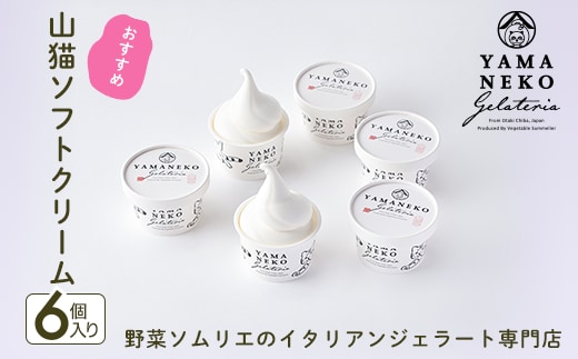 W01031 野菜ソムリエのイタリアンジェラート専門店＜山猫ソフトクリーム＞６個セット