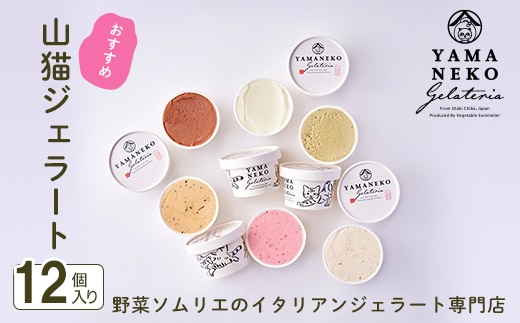 W02401 野菜ソムリエのイタリアンジェラート専門店＜山猫ジェラート＞おすすめ１２個セット