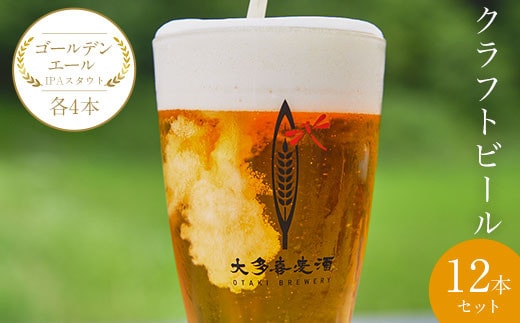 W02904 クラフトビール１２本セットゴールデンエールIPAスタウト各４本