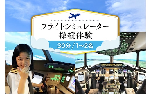 フライトシミュレーター操縦体験30分コース