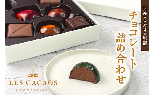 LES CACAOS レ・カカオ チョコレート詰め合わせ