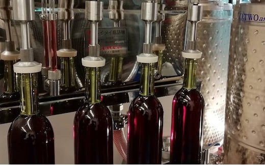 渋谷ワイナリー東京 都市型ワイナリー瓶詰体験＆ワイン12本セット