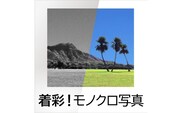 着彩！モノクロ写真 カード版 [ソースネクスト株式会社］【166012】