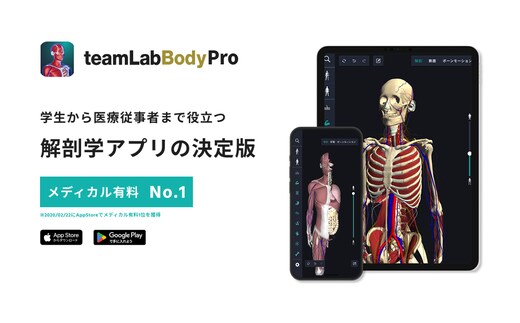 teamLabBody Pro Premiumプラン 1年分 【215001】