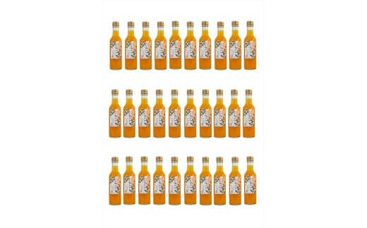 【定期便 6回】 小田原産江之浦みかんスパークリング果汁入り飲料果汁５０％２００ml３０本
