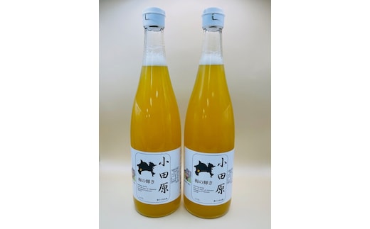 小田原 梅の輝き720ML瓶（梅ドリンク）2本セット【 飲み物 ドリンク 神奈川県 小田原市 】