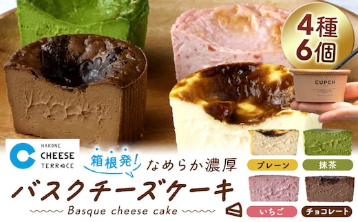 箱根発！なめらか濃厚バスクチーズケーキ 箱根チーズテラス・カプチ 【定番6個セット】