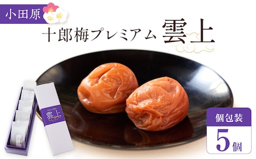 【小田原のブランド梅の大粒梅干し】雲上５個入り【 梅干し 神奈川県 小田原市 】
