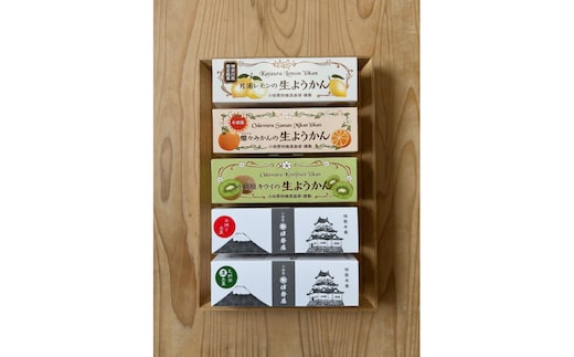 小田原老舗和菓子店の手づくりようかん5本セット【和菓子店 手づくりようかん5本セット レモンようかん フルーツようかん 足柄茶ようかん 本練ようかん キウイようかん みかんようかん 神奈川県指定銘菓 神奈川県 小田原市 】