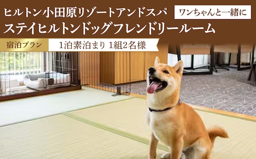 【チケット有効期限延長！】ワンちゃんと一緒にステイヒルトンドッグフレンドリールーム素泊まり（平日）【オーシャンビュー フィットネス 天然温泉大浴場 バーデゾーン 朝食ビュッフェ 都心から１時間のリゾート ヒルトン 神奈川県 小田原市 】