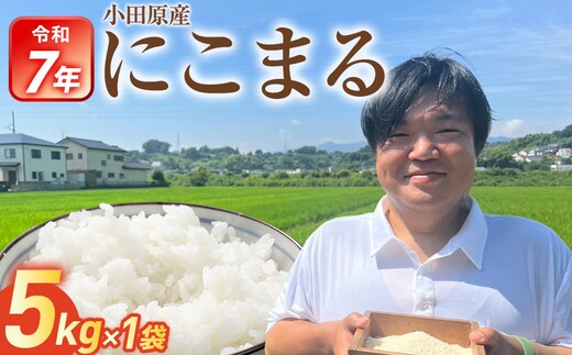令和7年産 富水米 精米 5kg にこまる