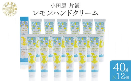 小田原 片浦レモンハンドクリーム１２個