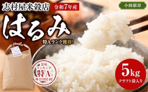 志村屋米穀店 令和7年産小田原市産 はるみ 5kg