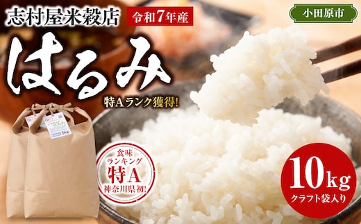 志村屋米穀店 令和7年産小田原市産 はるみ 10kg（5kgｘ2）