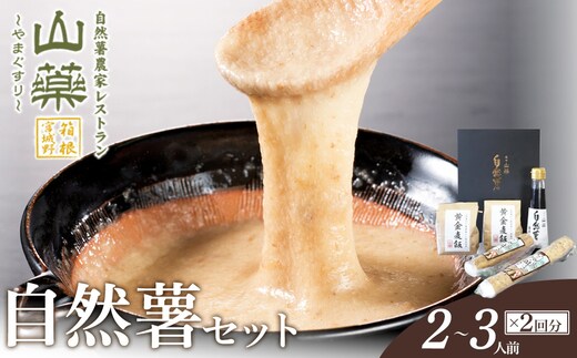 お店の味をご家庭で。【箱根自然薯の森 山薬】自然薯セット(2～3人前×2回分)【とろろ 極上とろろ 山芋 箱根 お家用 家庭用 国産 セット商品 自然薯 神奈川県 小田原市 】
