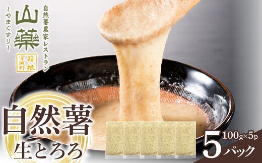 自然薯の味をお楽しみください。自然薯生とろろ100ｇ×５ｐセット【とろろ 極上とろろ 山芋 箱根 お家用 家庭用 国産 セット商品 自然薯 味付とろろ 神奈川県 小田原市 】