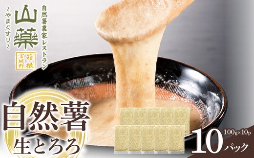 自然薯の味をお楽しみください。自然薯生とろろ100ｇ×10ｐセット【とろろ 極上とろろ 山芋 お家用 家庭用 国産 セット商品 自然薯 神奈川県 小田原市 】