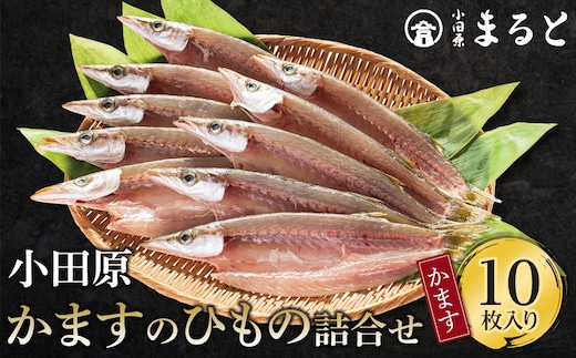 小田原かますのひもの詰合せ 10枚 SK-10