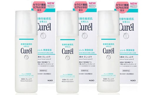 花王 キュレル 潤浸保湿 化粧水II しっとり 3個セット【化粧品 コスメ 敏感肌 乾燥 紫外線 セラミドケア 乾燥肌 保湿ケア 保湿 低刺激 キュレル ローション 潤浸保湿 医薬部外品 肌荒れ スキンケア 潤い 神奈川県 小田原市 】
