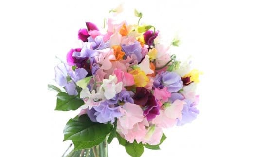 旬のお花で季節の花束| 花 花束 記念 サプライズ ギフト プレゼント 神奈川県 小田原市