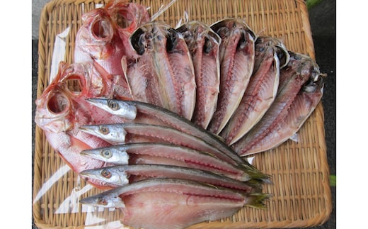 小田原ひもの詰合せ s45【惣菜 魚 干物 ひもの お取り寄せ 御中元 お中元 お歳暮 父の日 母の日 贈り物 家庭用 自宅用 贈答品 贈答用 ギフト 定番 朝食 朝ごはん 国産 中あじ、中かます、中金目鯛 神奈川県 小田原市 】